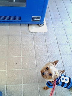 f0002833_22432079.jpg