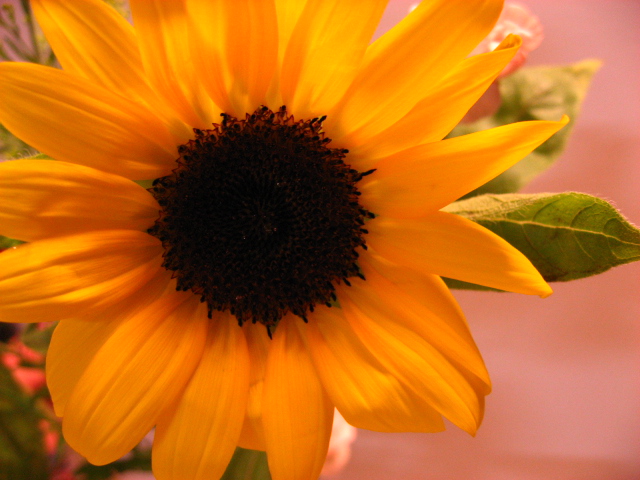 b0097747_8191429.jpg
