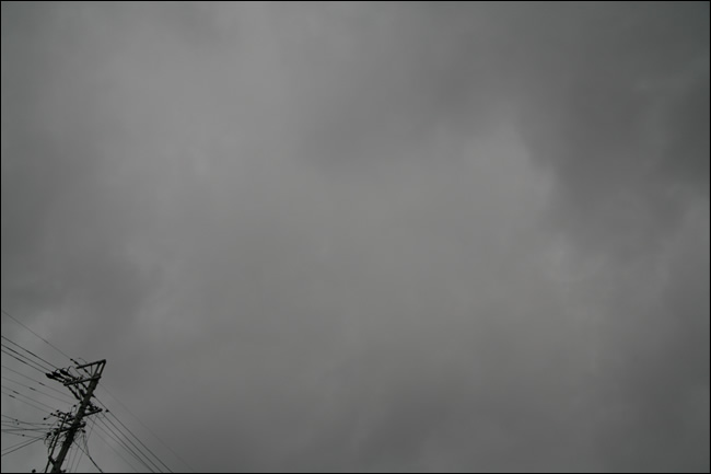 a0017257_22663.jpg