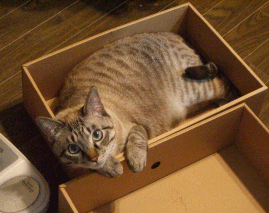 b0039168_3151264.gif