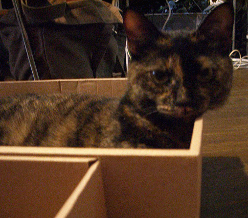 b0039168_3152368.gif
