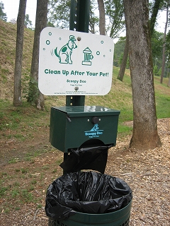 e0015270_11205159.jpg