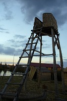 f0059671_2356985.jpg