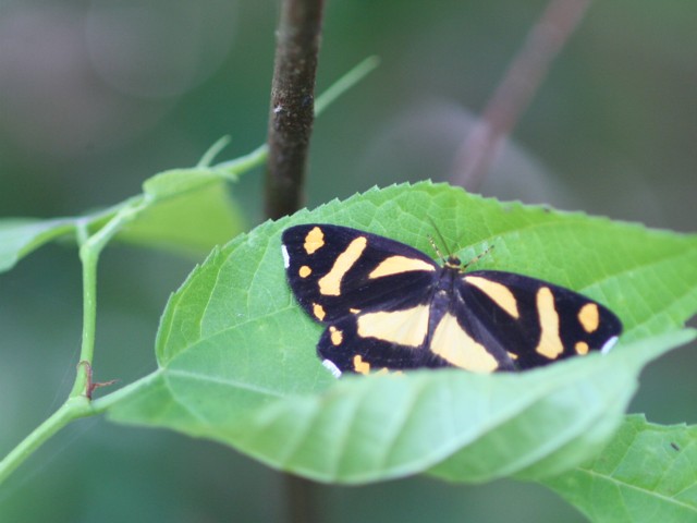 b0088772_21362558.jpg