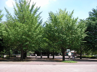 b0109874_18534387.jpg