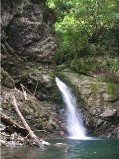 e0052088_161254100.jpg