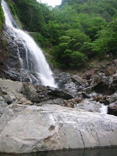e0052088_1612959.jpg
