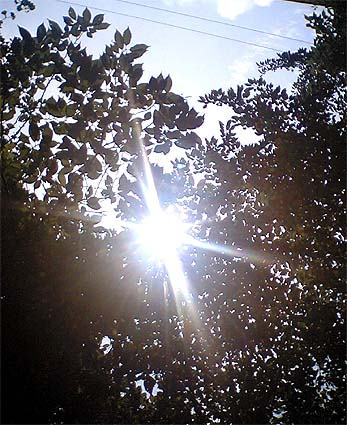 c0004193_1851012.jpg