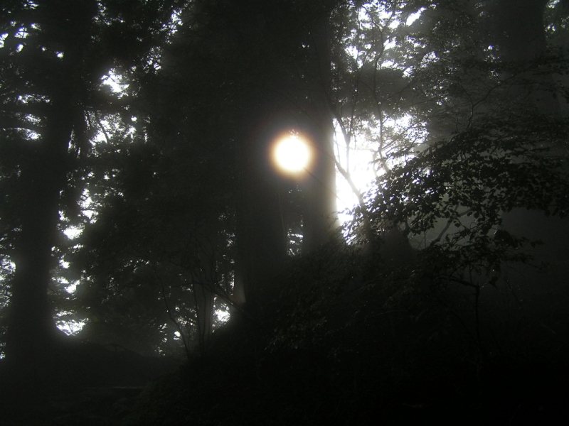 c0034595_332128.jpg