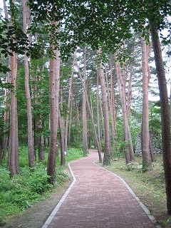 c0077697_18161954.jpg
