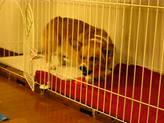 f0077097_17462077.jpg
