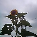 c0030103_18304468.jpg