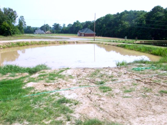 c0062603_15175061.jpg