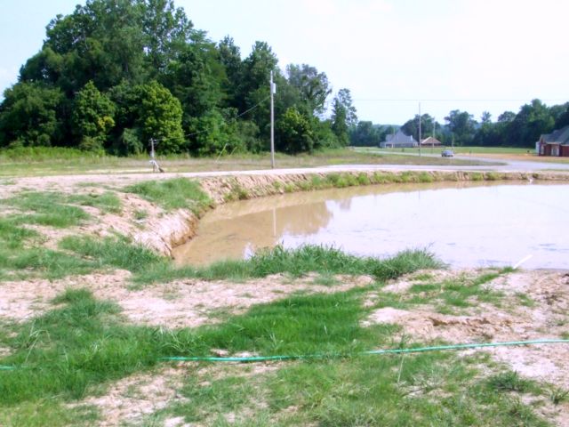 c0062603_15181793.jpg