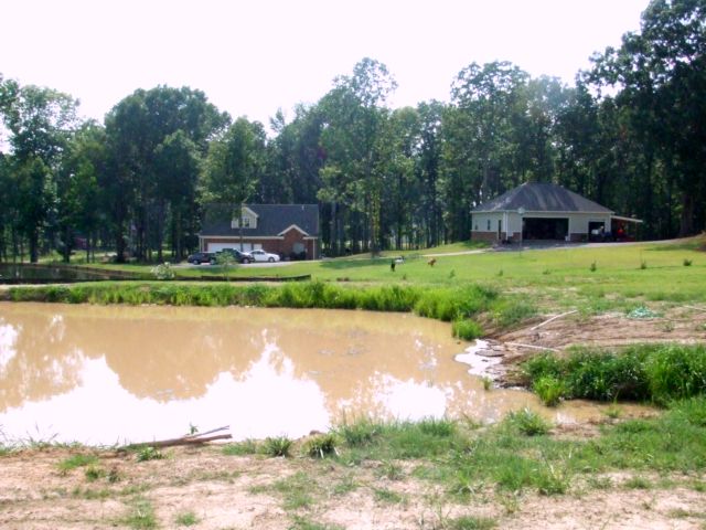 c0062603_1518336.jpg