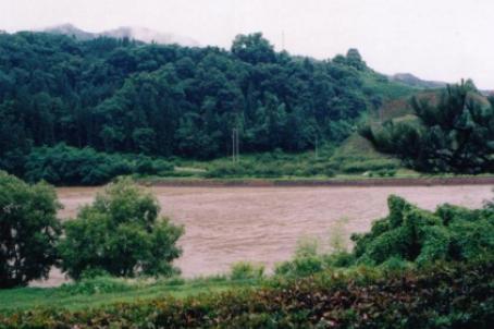 d0071507_234877.jpg