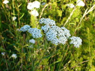 f0033510_0301568.jpg