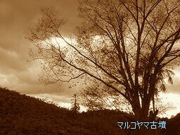 f0000521_1410188.jpg