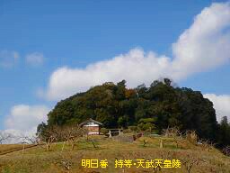 f0000521_14313386.jpg