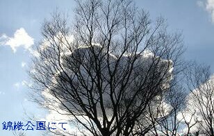 f0000521_1443256.jpg