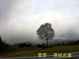 f0000521_1461094.jpg