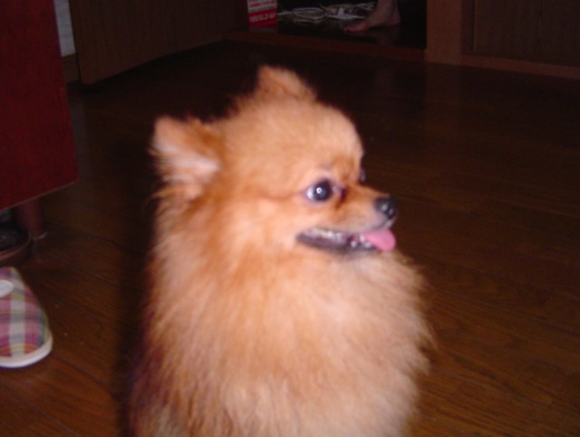 f0012924_642117.jpg