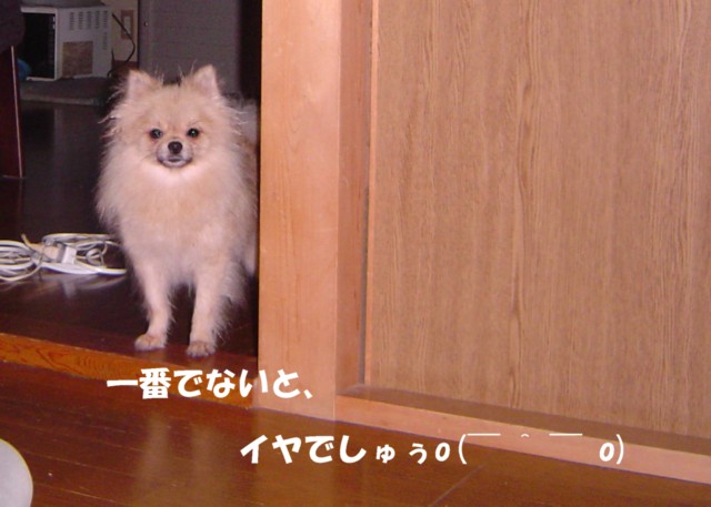 f0012924_655427.jpg