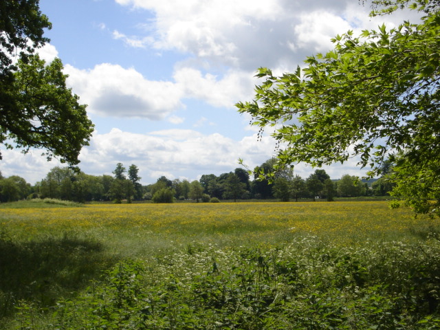 e0070728_193079.jpg