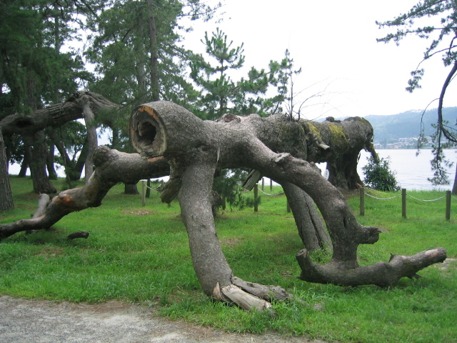 e0006429_1222964.jpg