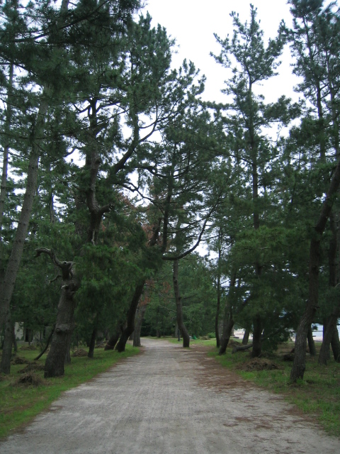 e0006429_1254064.jpg