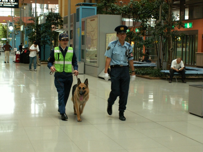 d0077740_1041509.jpg