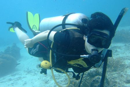 e0027447_1710362.jpg