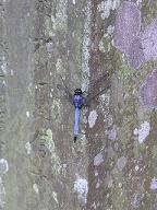 e0022948_2037455.jpg