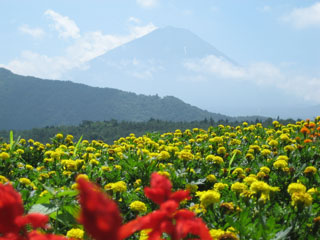 a0052952_2282863.jpg