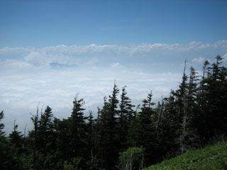 a0052952_2284641.jpg
