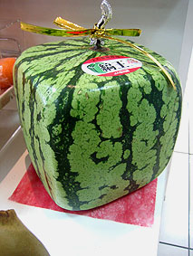 f0006855_742589.jpg