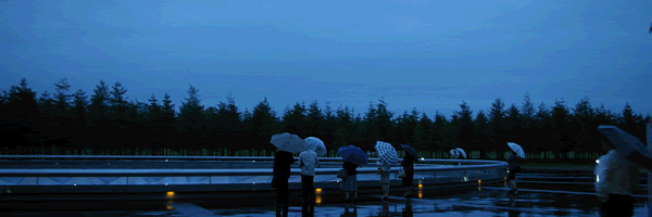 c0062361_22582446.gif