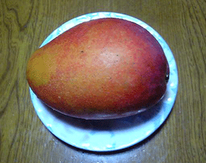 b0101263_131646.gif