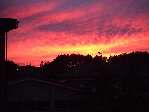 c0048667_17314629.jpg