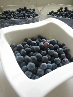e0015270_12184931.jpg
