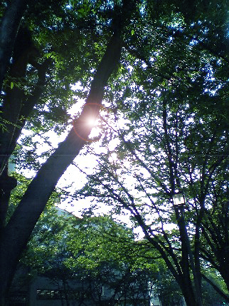 b0060071_252138.jpg
