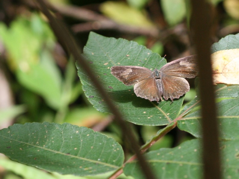 b0088772_21394324.jpg