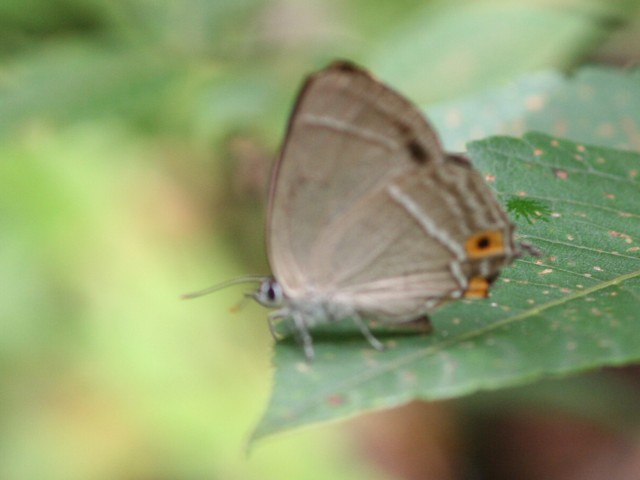 b0088772_21413567.jpg