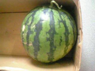 c0042491_952040.jpg