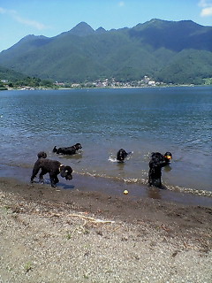 c0050400_2235257.jpg