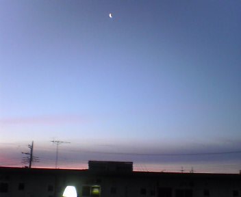 d0078400_5484737.jpg
