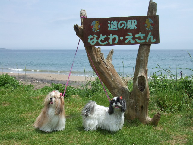 e0050801_024343.jpg