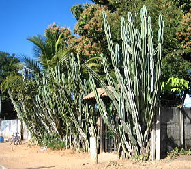 e0028810_60031.jpg