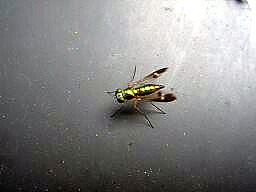 f0000521_1230231.jpg