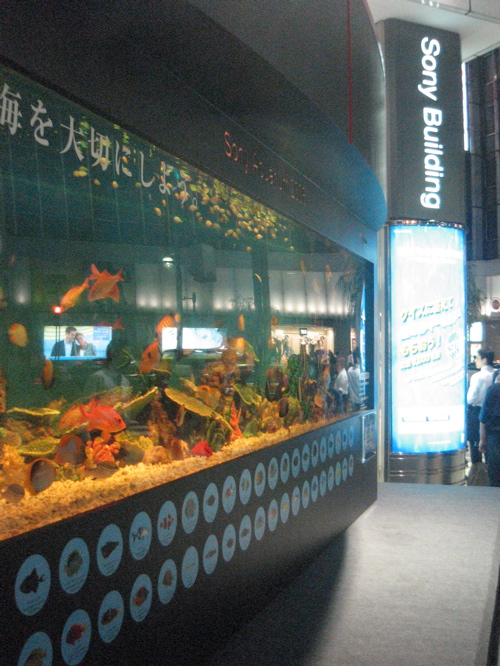 f0092521_03123100.jpg